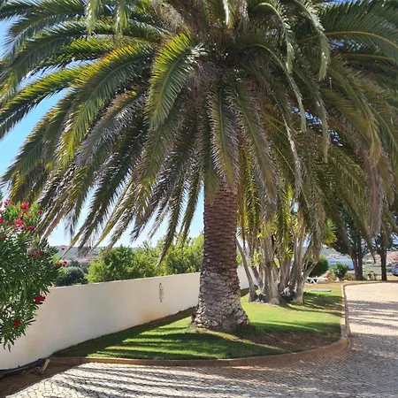 Les Arcades דירה *