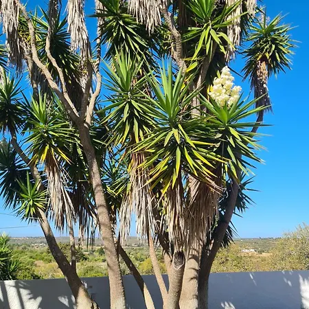Les Arcades * Almádena
